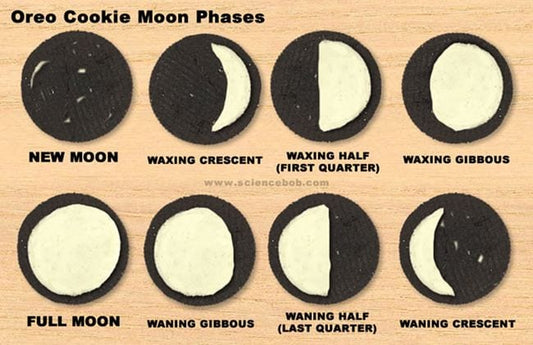 Unlocking the Secrets of Space: Fun Astronomy Projects for Kids