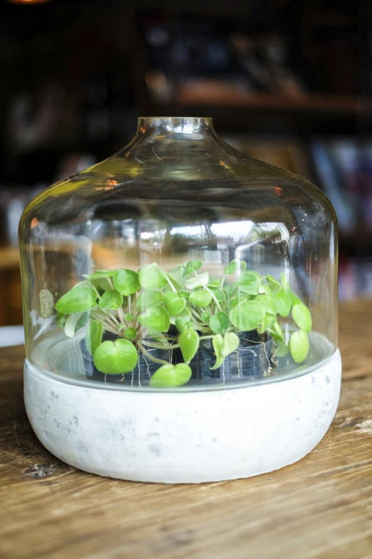 The Ultimate Guide to Eco-Friendly STEM Activities at Home